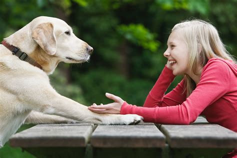 Can dogs talk to you? The science behind canine communication