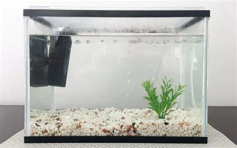 9 Aquarium Filter Types for Fish Tanks (Pros and Cons) - Aqua49