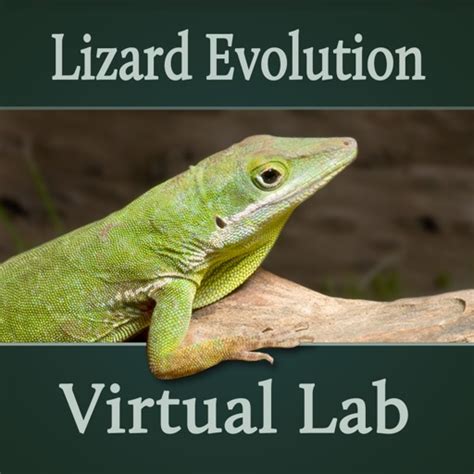 Lizard Evolution Virtual Lab | Apps | 148Apps