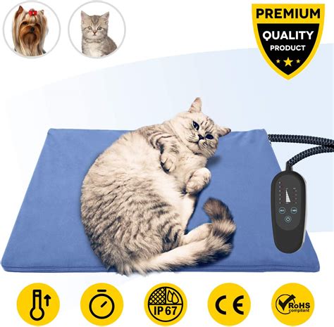 The Best Heated Cat Bed (Reviews in 2020)