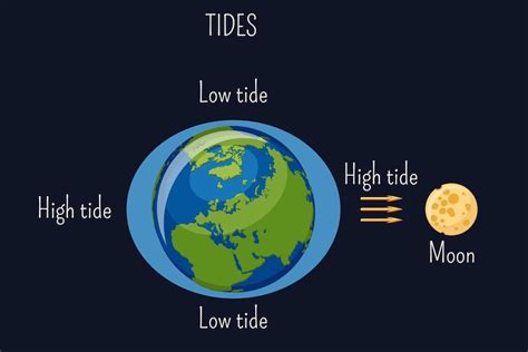 How does the Moon affect the tides on Earth? - ABC Education