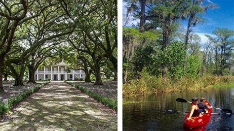 Swamp Kayak & Plantation Tour | New Orleans Kayak Swamp Tours