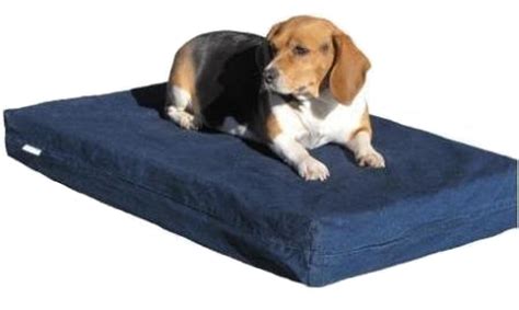 Top 5 Indestructible dog beds