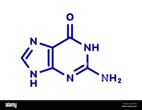 Guanine Structure