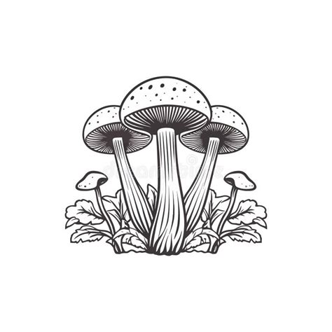 Fly Agaric. Poison Mushroom. Ink Vector Illustration. Linocut Print ...