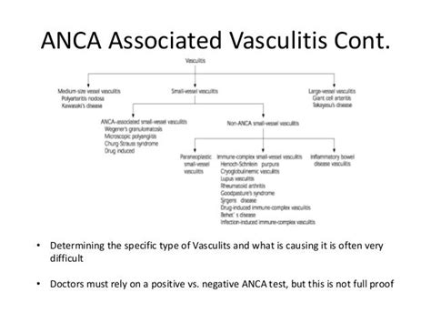 Genetically Distinct differences of ANCA-Associated Vasculitis Disord…