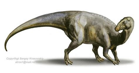 Hadrosaurus Pictures & Facts - The Dinosaur Database