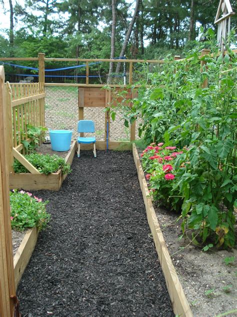 Debbie's Potager: The garden path