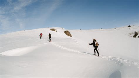 Hurricane Ridge Guided Snowshoe Tour | Olympic Hiking Co.