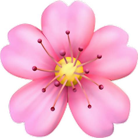 Flower emoji png, Flower emoji png Transparent FREE for download on ...