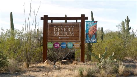 Arizona Sonora Desert Museum - YouTube