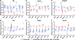 Metabolic differences and differentially expressed genes between C57BL/6J and C57BL/6N mice ...