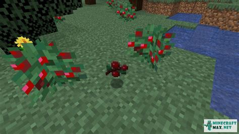 Sweet Berries | How to craft sweet berries in Minecraft | Minecraft Wiki