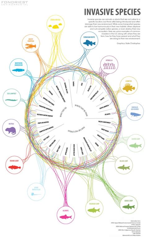 Environmental Monitor | Infographic: Invasive Species