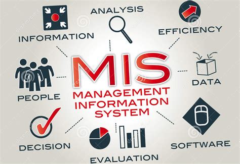 206 Management Information Systems | MBA MCQs | SPPU | MBA MCQs