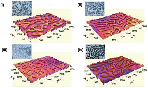 Polymers | Free Full-Text | Fabrication of Functional Wrinkled Interfaces from Polymer Blends ...