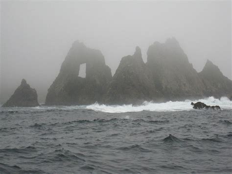 Farallon Island Great White Shark Dive | Great White Shark C… | Flickr