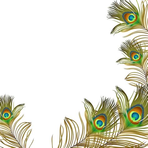 Free Vector | Peacock feather. Vector frame.