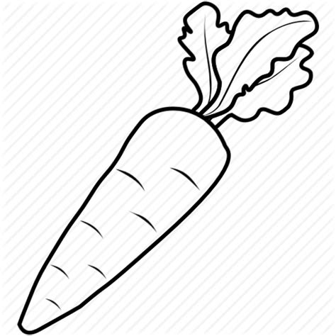 Download High Quality carrot clipart drawing Transparent PNG Images - Art Prim clip arts 2019