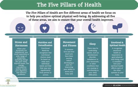 What Are the Five Pillars of Health in Functional Medicine?