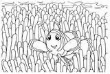 40  Clownfish Coloring Pages Free Printable PDF JPG PNG & Online sketch template