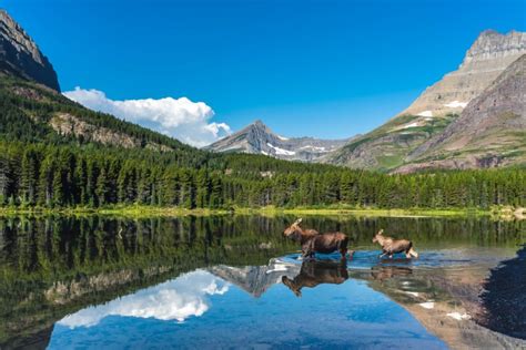 Glacier National Park, Montana - Discovering Montana