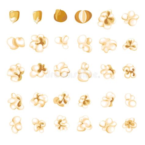 Popcorn Kernel Types and Process of Popping Vector Stock Illustration ...