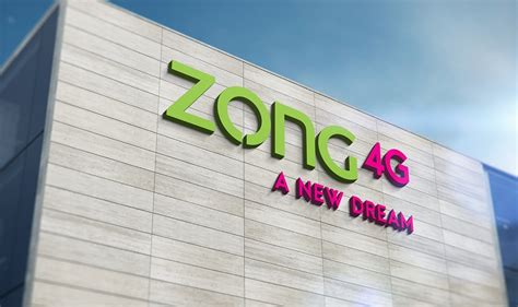 Zong 4G and BaKhabar Kisan partner to boost Urban Farming in Pakistan ...