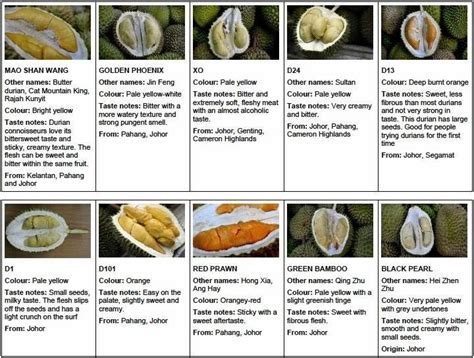 Didn't know there are so many different types of durians! : r/singapore