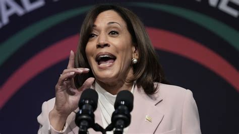 VP Harris warns U.S. 'founding principles are under attack'