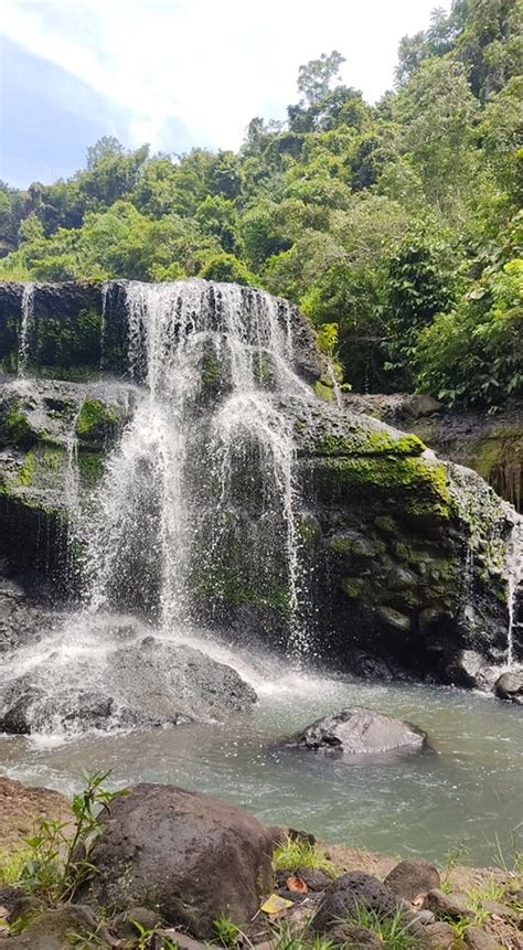 Beautiful Waterfalls in the Forest · Free Stock Photo