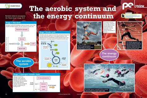 The aerobic system and the energy continuum - Hodder Education Magazines