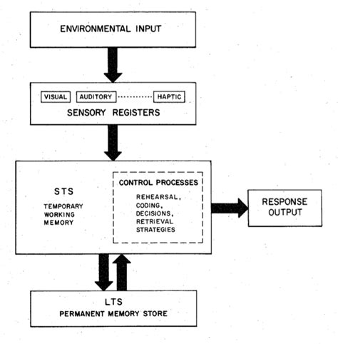 Shiffrin and Atkinson's memory systems, a paradigmatic "box and arrow ...