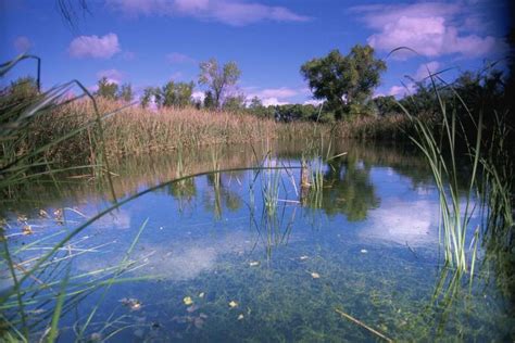 Free picture: swamp, landscape, scenics