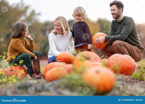 Happy Young Family in Pumpkin Patch Field Stock Image - Image of halloween, casual: 161903449