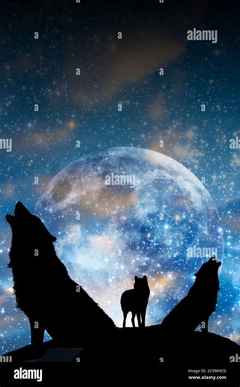 pack of wolves howling at the full moon Stock Photo - Alamy