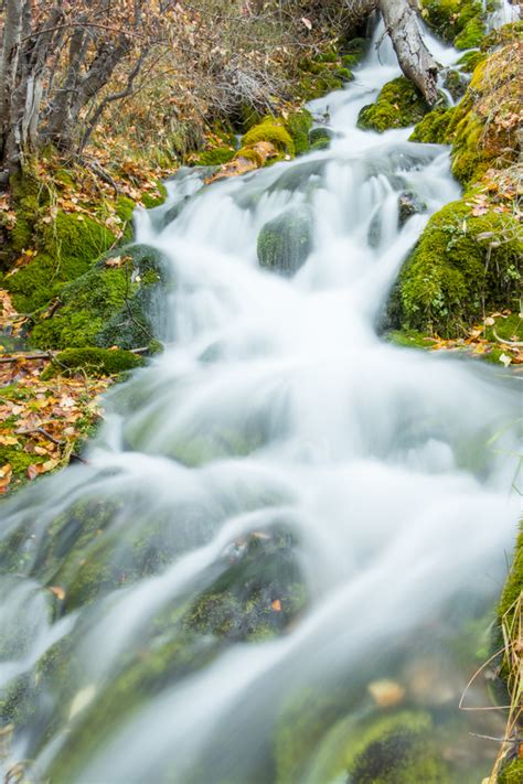 Share the Experience | Uinta-Wasatch-Cache National Forest