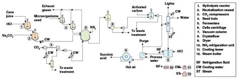 Production of Bio-based Succinic Acid - Chemical Engineering | Page 1