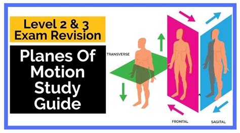 Anatomy and Physiology Study Guide – Planes of Motion