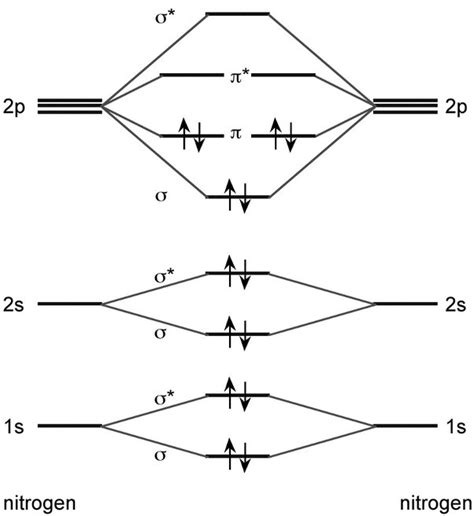 how to draw molecular orbital diagram of n2 - Millie Atkinson