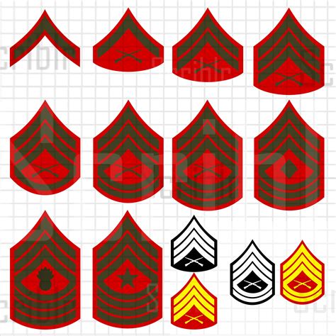 Enlisted Marine Corps Ranks, 47% OFF | gbu-taganskij.ru