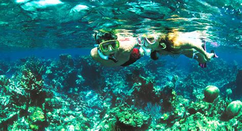 See the Sea: 5 Prime Caribbean Snorkeling Destinations