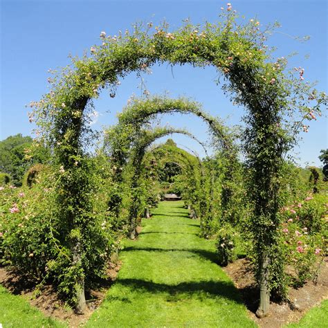 Heavy Duty Metal Garden Arch Trellis Arbour Outdoor Roses Plants ...