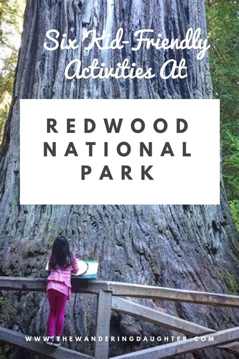 Redwoods With Kids! 10 Fun Ideas For Redwood National Park | Kid friendly activities, California ...