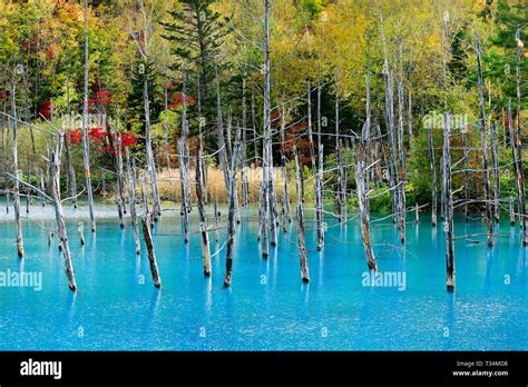 Blue pond, hokkaido hi-res stock photography and images - Alamy