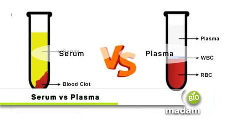 Difference Between Serum and Plasma - [ Comparison Table ] biomadam