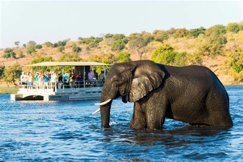 Chobe Marina Lodge – ZAMAG Tours and Safaris – Agricultural Tour ...