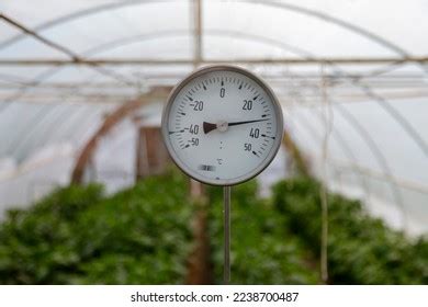 Thermometer Greenhouse: Over 765 Royalty-Free Licensable Stock Photos ...