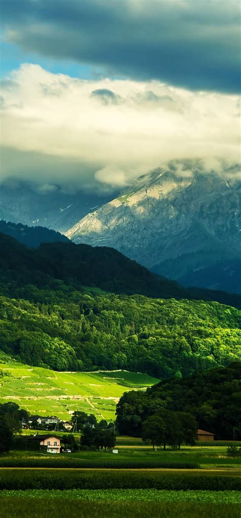 Beautiful Valley Wallpaper - [1080x2316]