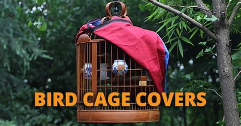 6 Bird Cage Covers For Sale: Large Cage Covers for Parrots and Birds